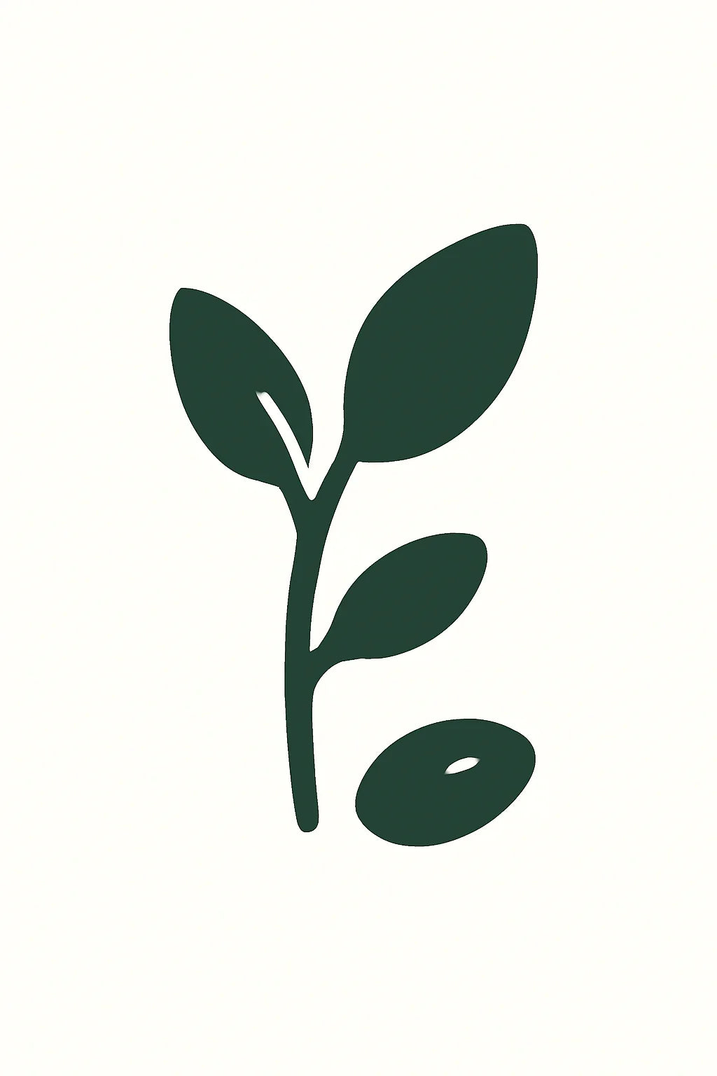 Super Seeds – Nutrient-Rich Blend for Energy, Digestion & Wellness - THE POWER FOOD