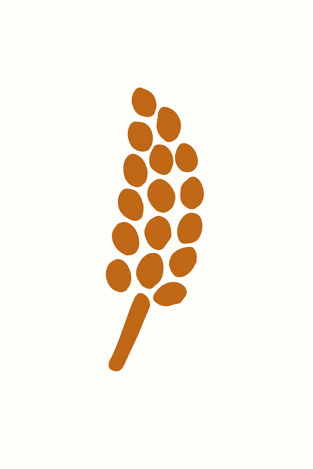 Wholesome Millet - THE POWER FOOD
